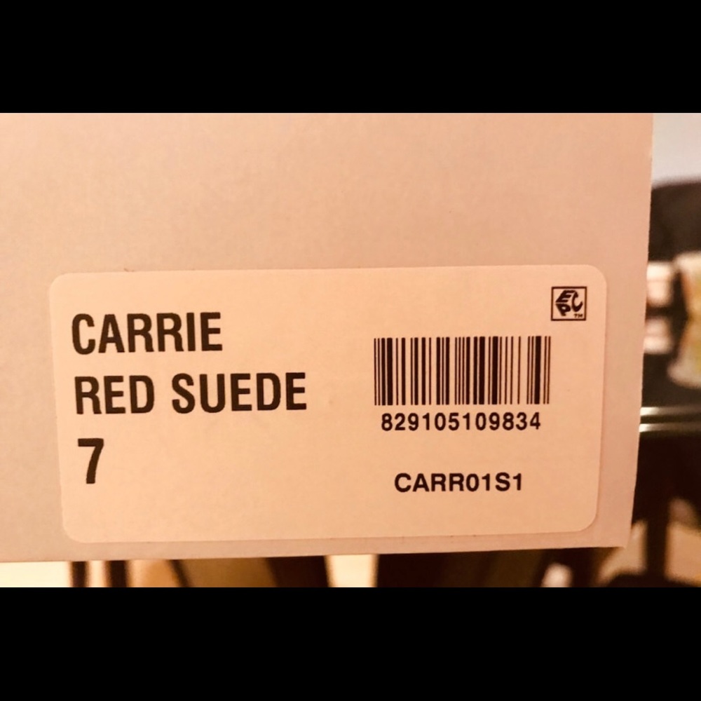 Steve Madden Brand new boots